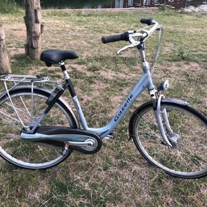 Gazelle Orange Silver or Gray
