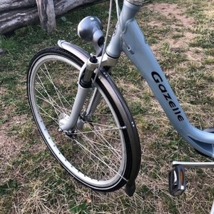 Gazelle Orange Silver or Gray