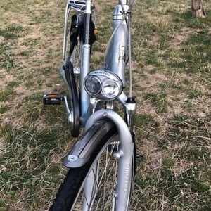 Gazelle Orange Silver or Gray