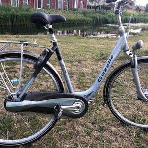 Gazelle Orange Silver or Gray