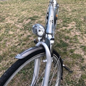 Gazelle Orange Silver or Gray