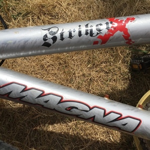 2009 Magna Striker X Silver or Gray