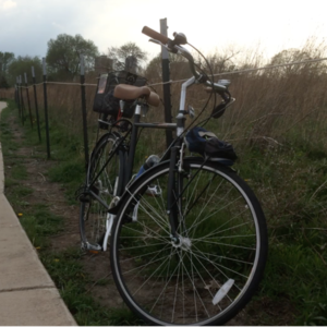 2014 Biria Hybrid Citi Bike Sport Black