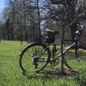 2014 Biria Hybrid Citi Bike Sport Black