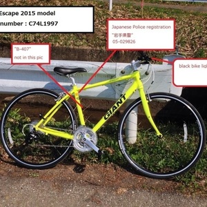 Stolen 2015 Giant Escape