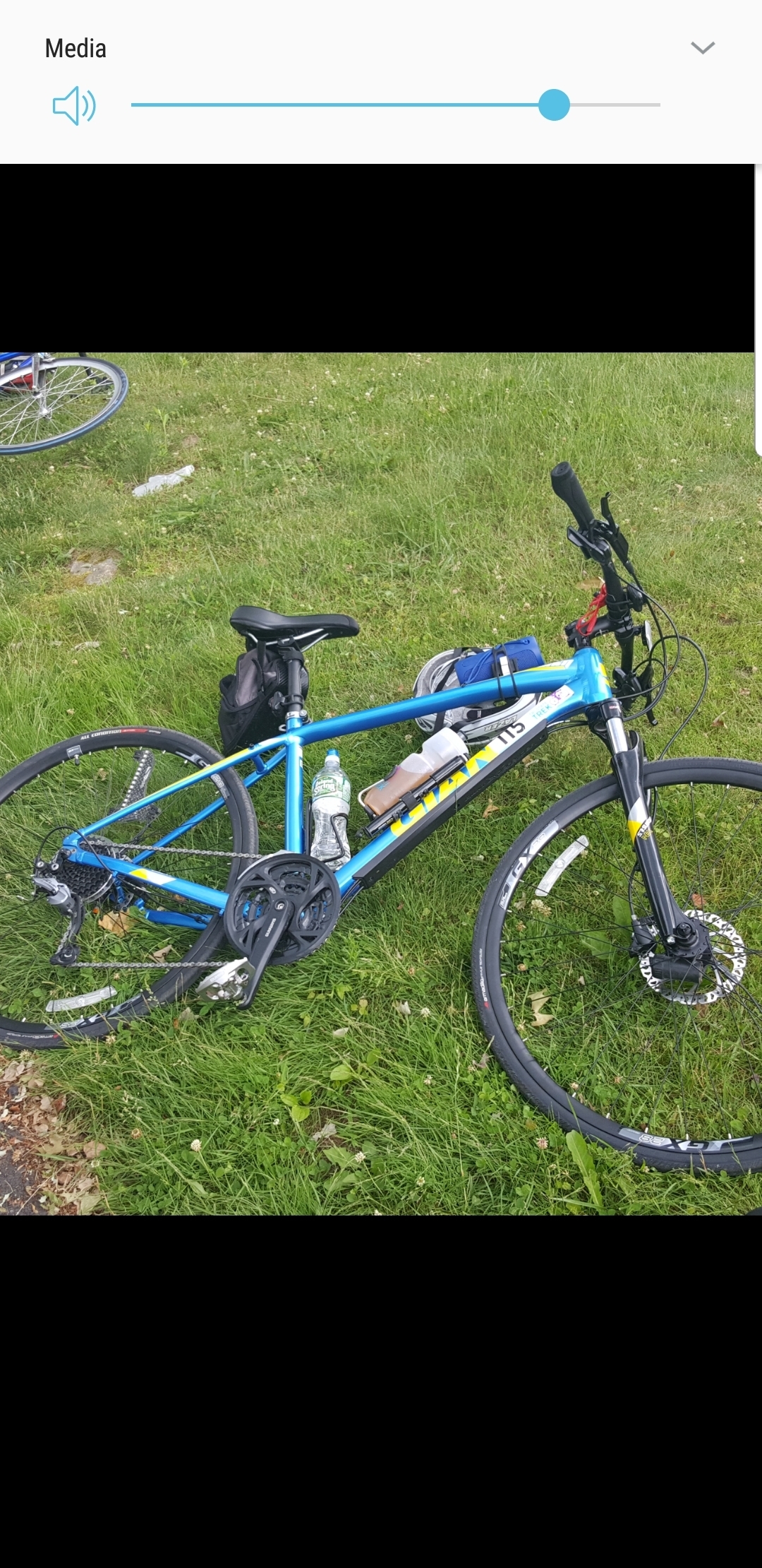 2017 Giant Roam 2 Disc