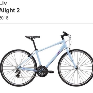 2018 Giant Hybrid Blue