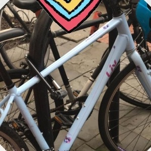 2018 Giant Hybrid Blue