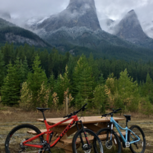 2016 Trek Skye SL Blue