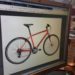 2017 Giant Red