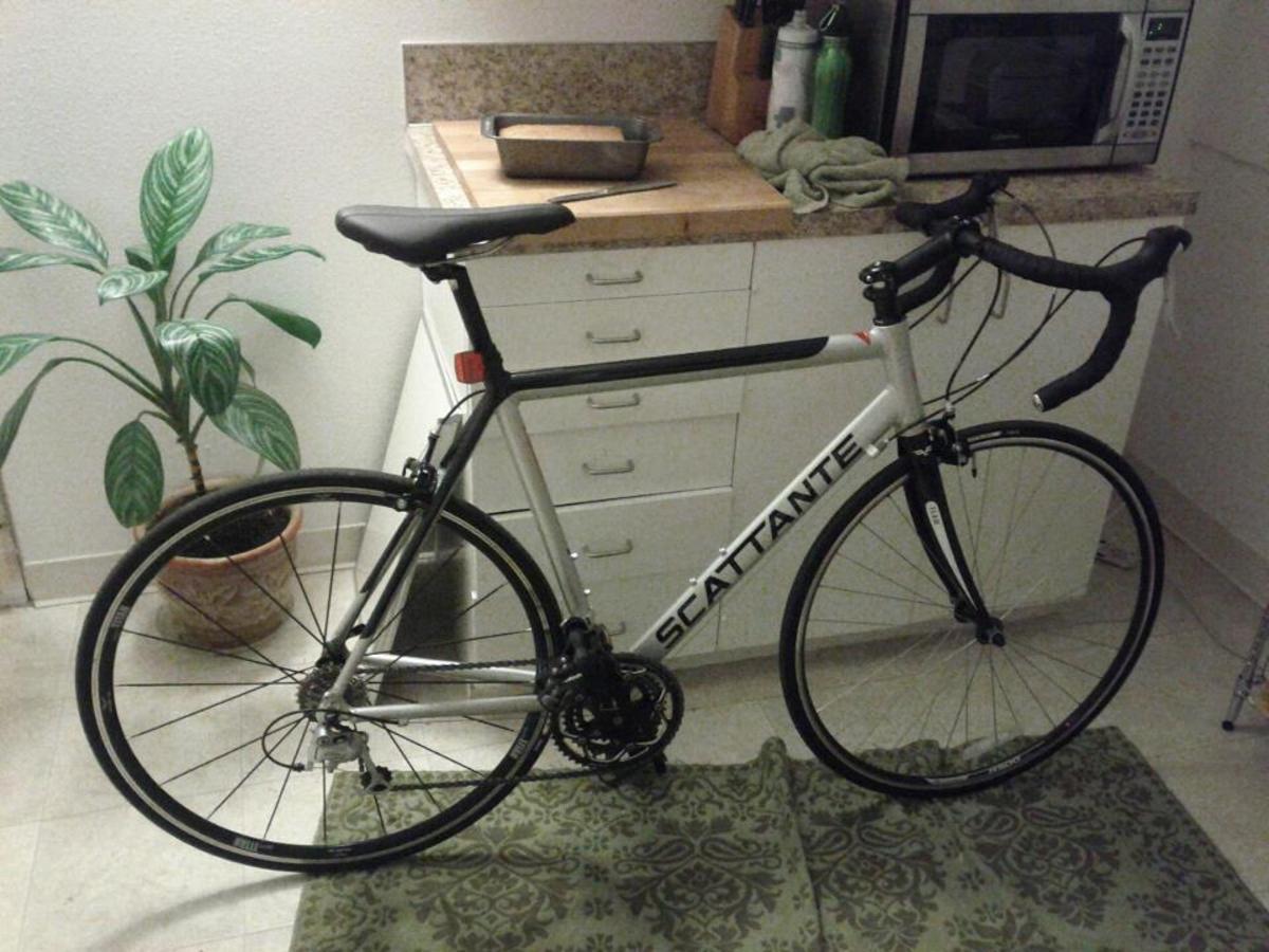 scattante scx350