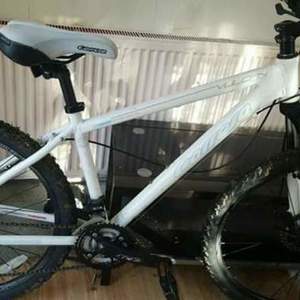 Carrera bicycles Vulcan White