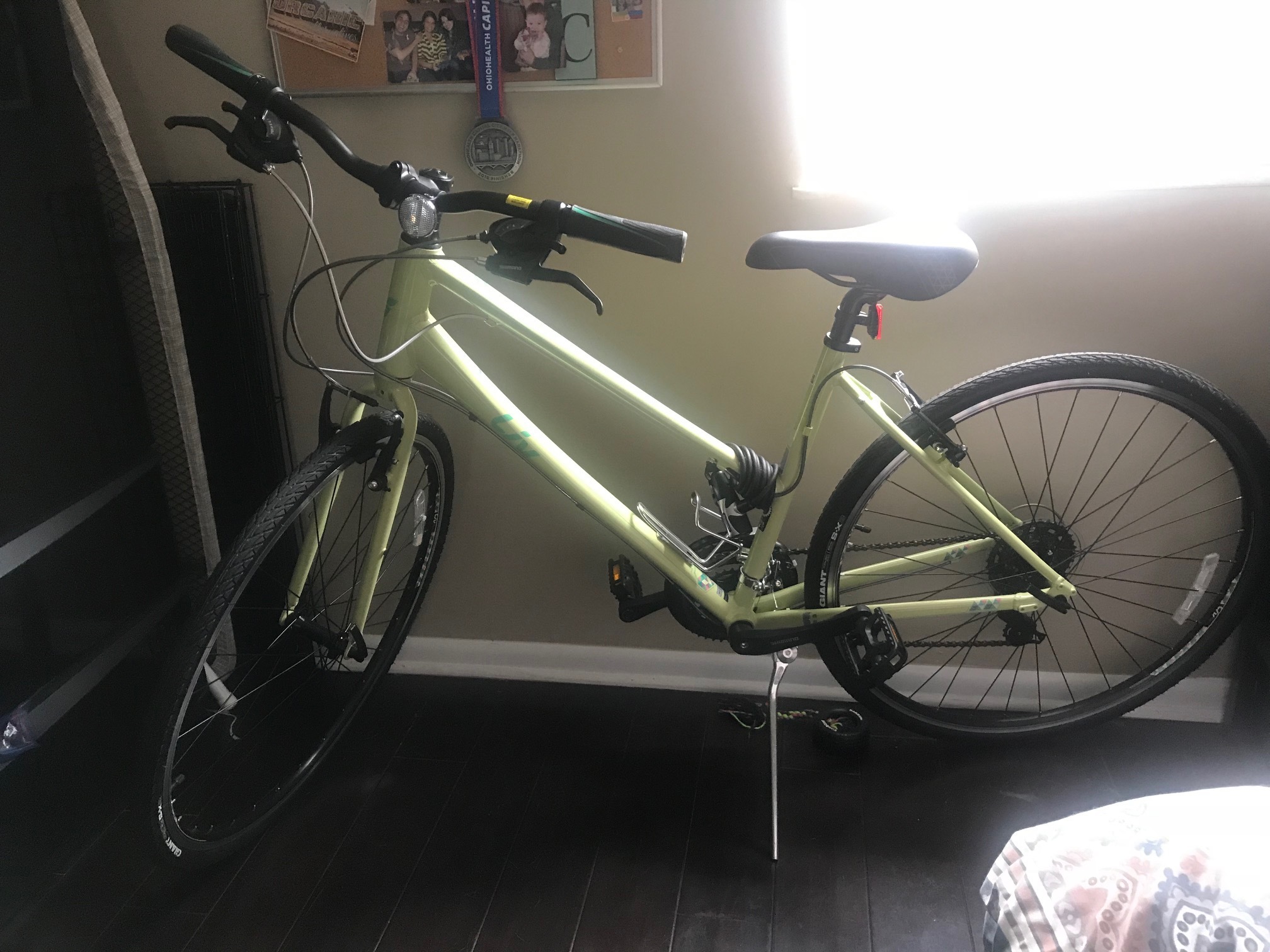 runt just go mini bike