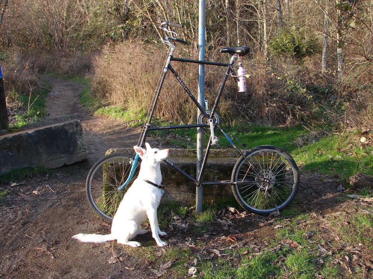 Tall Bike photo