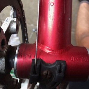 Bianchi Red