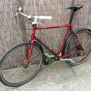 Bianchi Red