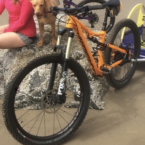 2016 Specialized Stumpjumper Orange