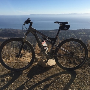 2011 Trek Rumblefish I Silver or Gray