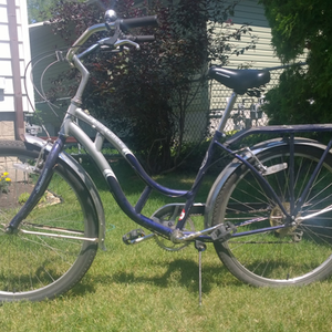 Schwinn Blue and Silver or Gray