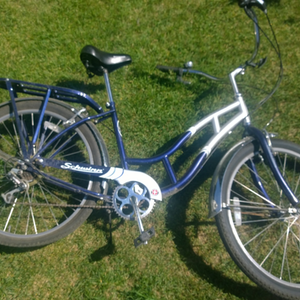 Schwinn Blue and Silver or Gray