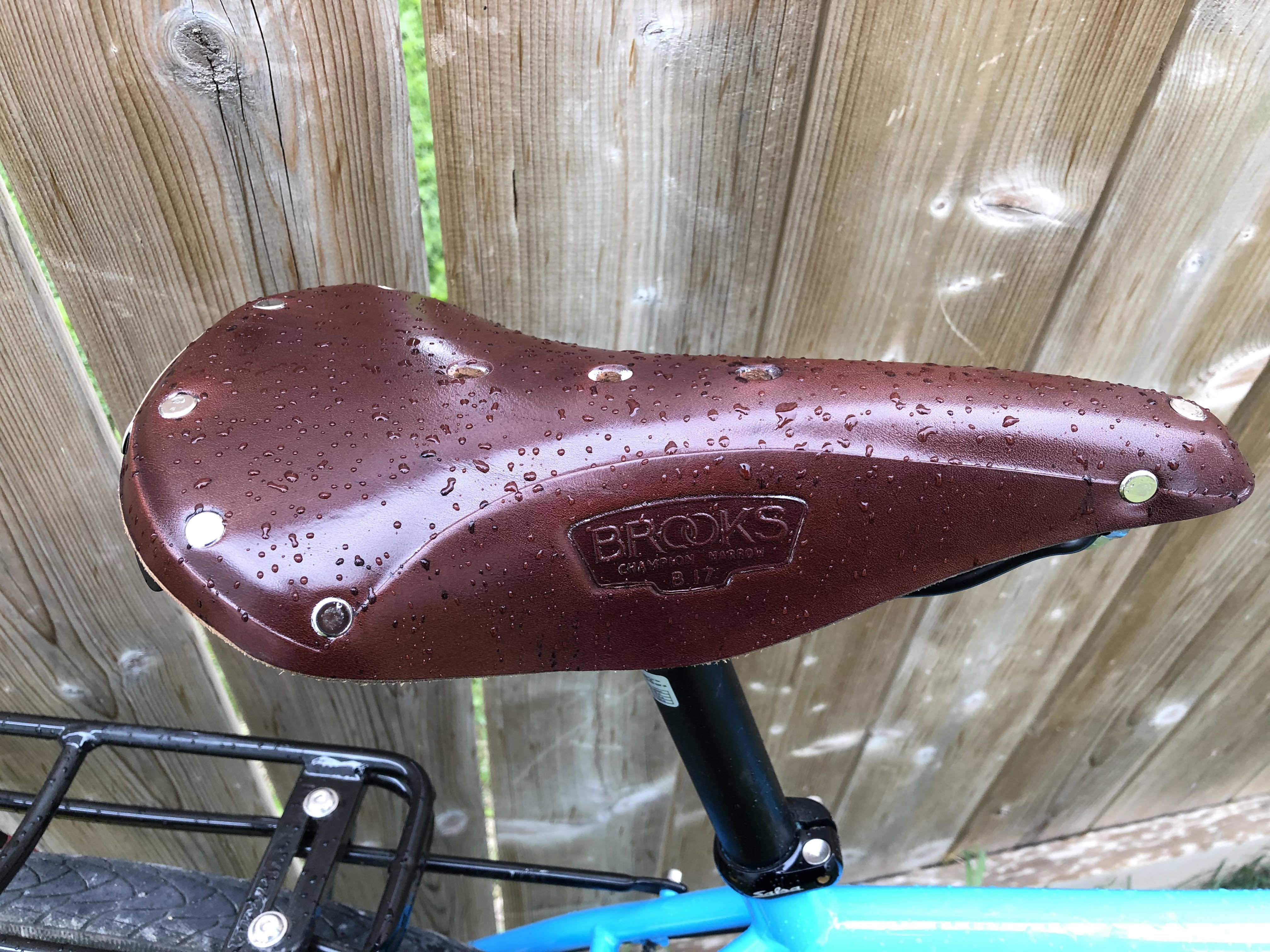 salsa marrakesh size chart