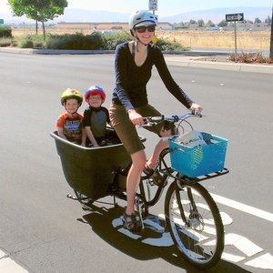 2011 Madsen kg271 cargo bike (rear storage) Black