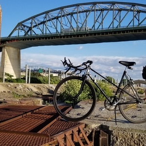 1978 Raleigh Record Ace Black
