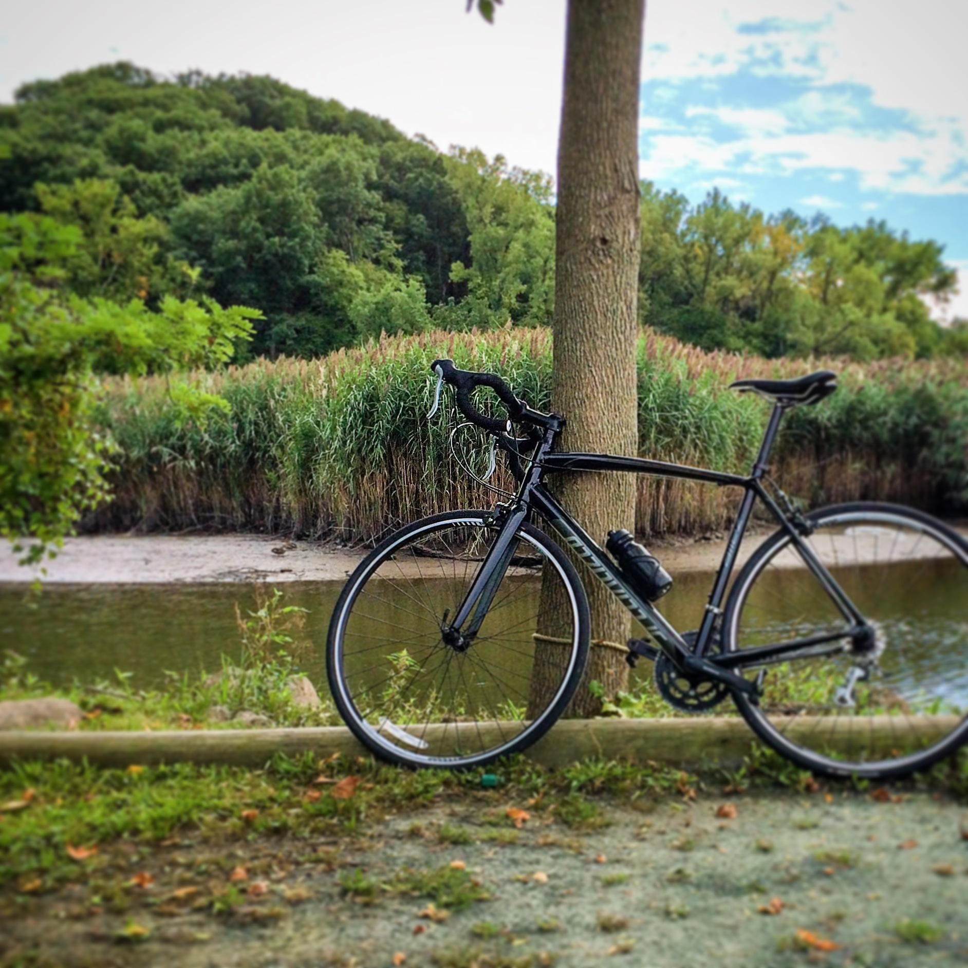 vintage bicycle frame