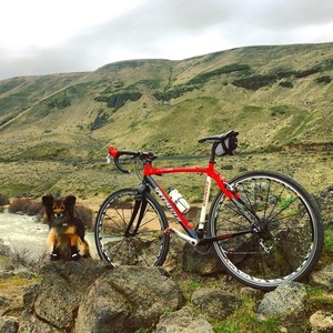 2009 Specialized Tricross Expert Double Red