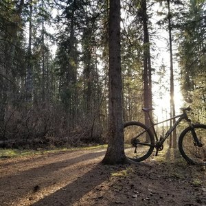 2017 Norco Bikes charger 9.3 Black