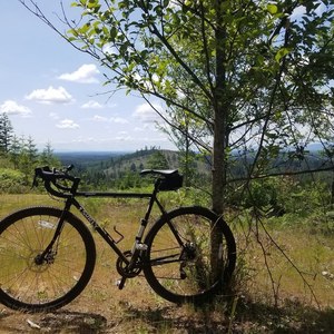 2017 Surly Straggler