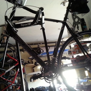 2009 Specialized En14781  Black and White