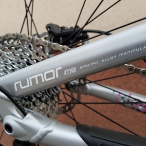 2016 Specialized MTB Silver or Gray