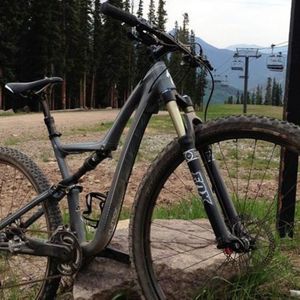 2016 Specialized MTB Silver or Gray
