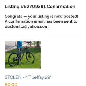 2018 YT Industries Jeffsy 29" Carbon Frame Silver or Gray and Black