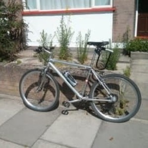 Giant XTC SE1 Silver or Gray