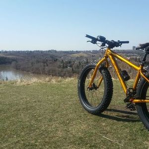 2014 Salsa Mukluk Yellow or Gold