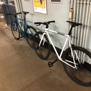 2016 Golden Cycles Shocker Fixie White