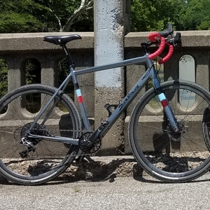 2016 Salsa Warbird Silver or Gray
