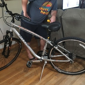 Giant Silver or Gray