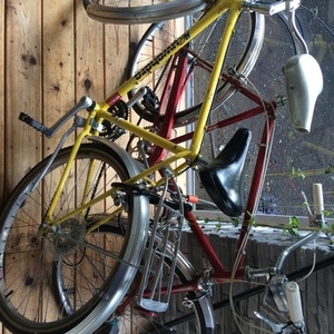 Kuwahara Mesa Yellow or Gold