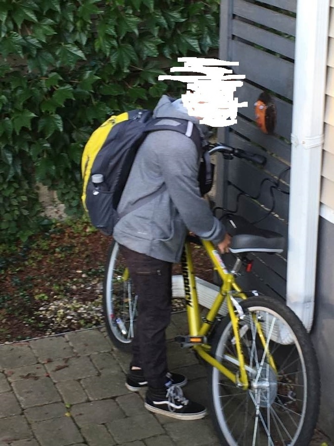 Bike photo