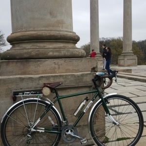 2015 all city space horse