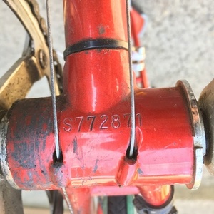 Bianchi Brava Red and White