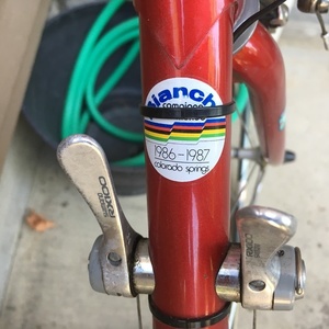 Bianchi Brava Red and White