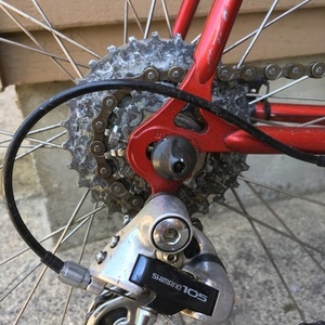 Bianchi Brava Red and White