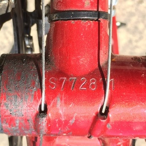 Bianchi Brava Red and White