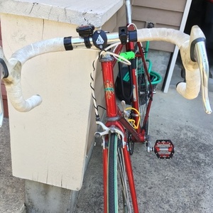 Bianchi Brava Red and White