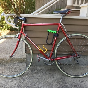 Bianchi Brava Red and White