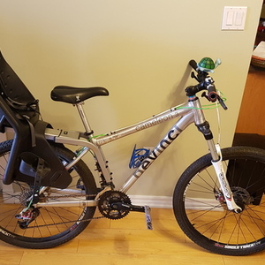 Devinci Cameleon 3 Silver or Gray